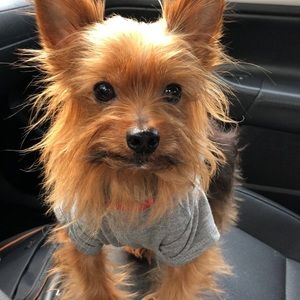 Meet your Posher, Alexus